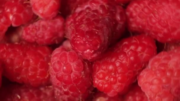 Macro Video Spinning Raspberries Top View — ストック動画