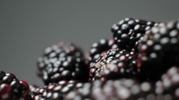 Ripe Juicy Blackberries Swirling Black Background Slow Motion — ストック動画