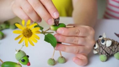 A human figurine created from acorns and matches in the hands of a person