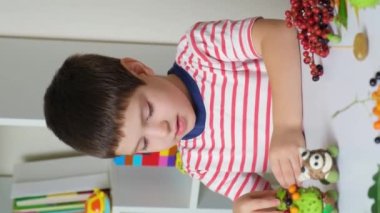 A preschool boy plays with animal figurines made of acorns, chestnuts and cones