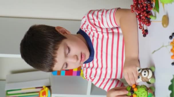 Preschool Boy Plays Animal Figurines Made Acorns Chestnuts Cones — 비디오