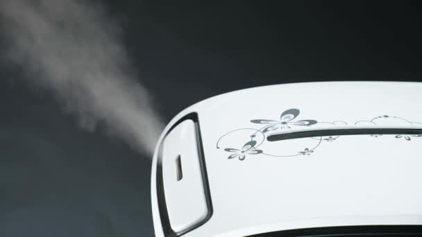 Humidificateur Fournit Flux Air Vapeur Humide Pour Améliorer Microclimat Dans — Video