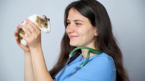 Dierenarts Houdt Een Klein Cavia Zijn Handen Aait Het Glimlacht — Stockvideo