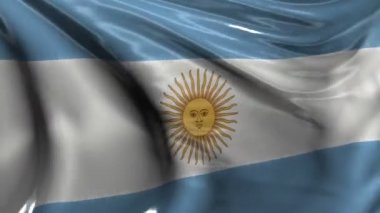 Arjantin Ulusal Bayrağı