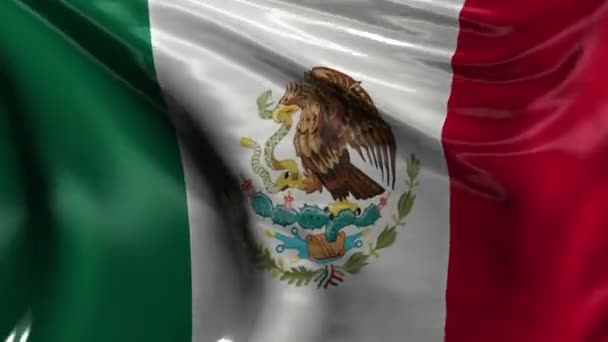 Nationale vlag van mexico — Stockvideo