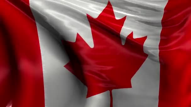 Bandera nacional de Canada — Vídeo de stock