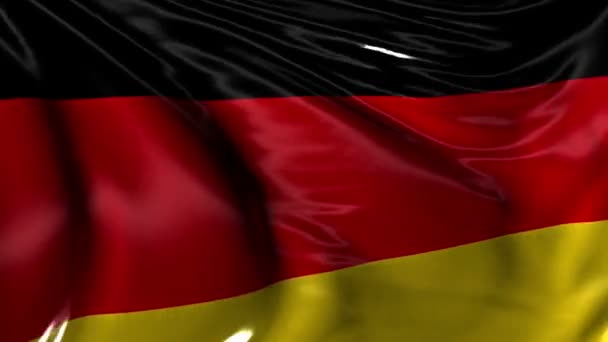 National Flag of Germany — Stock Video