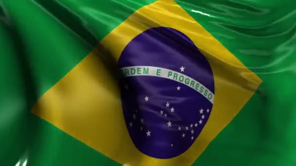 Bandera nacional de Brasil — Vídeo de stock