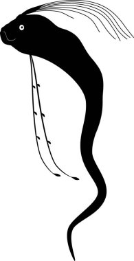 Yüzen kürek balığının silüeti.