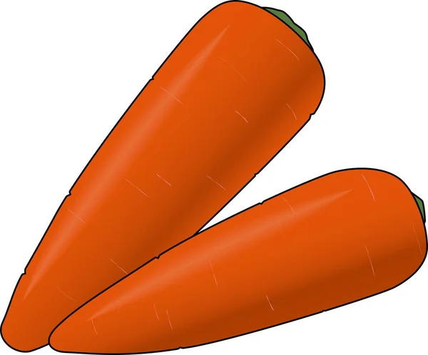 Illustration Two Fresh Carrots — Vetor de Stock