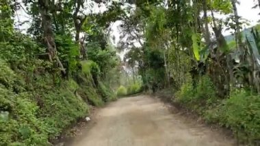 Salento 'da bir cipin arkasında seyahat etmek, Kolombiya' nın kahve yetiştirme bölgesi.
