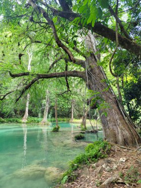 Vertical view of a pond in the aquatic area of Minas Viejas in San Luis Potosi, Mexico