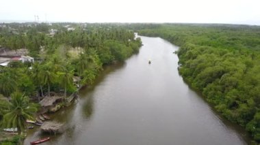 Flying over a section of the Tres Palos lagoon, in the middle of the vegetation, Mexico