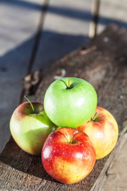 En iyi görüntü güzel dört elma