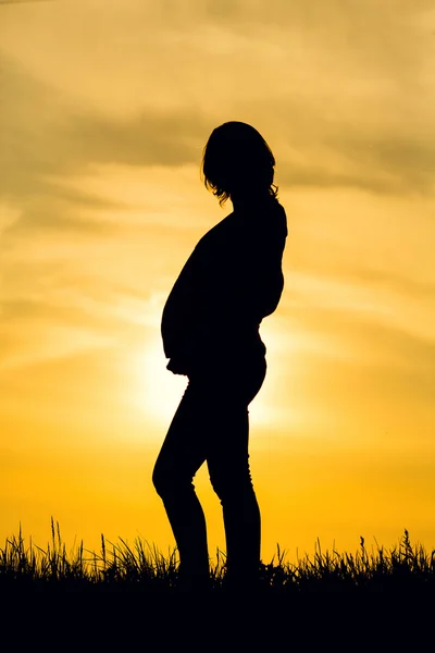 Silhueta mulher grávida — Fotografia de Stock