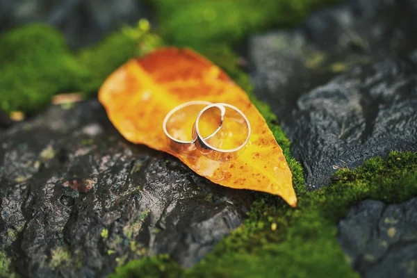 Two wedding-ring on yellow foliage — Stock Photo, Image