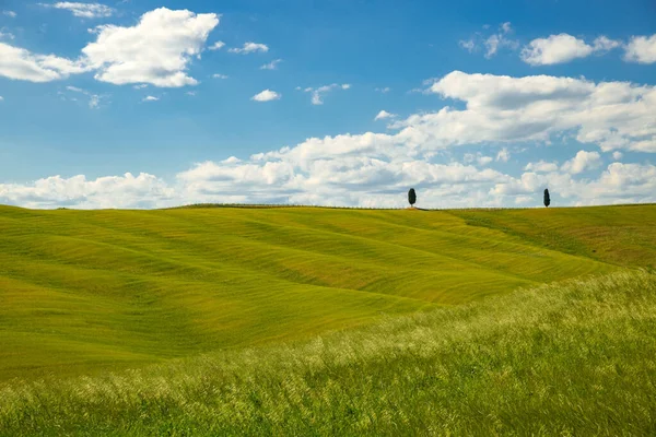 Panoramiczny Widok Zielone Pola Kolorowe Toskanii Wśród Wzgórz Val Orcia — Zdjęcie stockowe