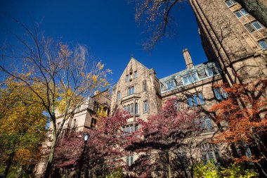 Yale Üniversitesi binaları sonbaharda New Haven 'da mavi gökyüzü, CT USA