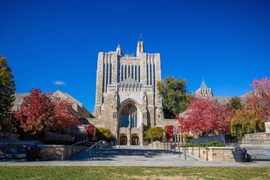 Yale Üniversitesi binaları sonbaharda New Haven 'da mavi gökyüzü, CT USA