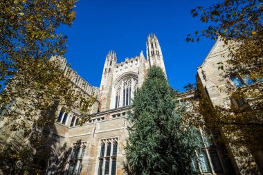 Yale Hukuk Fakültesi binaları sonbaharda New Haven, CT USA 'de mavi gökyüzü ile birlikte.