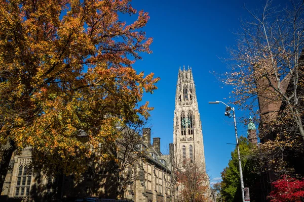 Bâtiments Universitaires Yale Automne Avec Ciel Bleu New Haven Usa — Photo