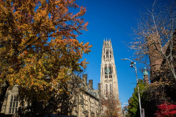 Edificios Universitarios Yale Otoño Con Cielo Azul New Haven Usa —  Fotos de Stock