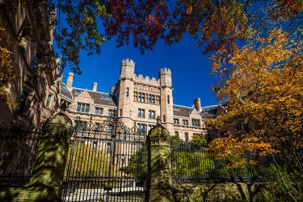 Edifícios Universitários Yale Outono Com Céu Azul New Haven Eua — Fotografia de Stock