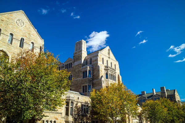 Yale Egyetemi Épületek Ősszel Kék New Haven Usa — Stock Fotó