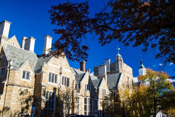 Yale Universiteitsgebouwen Herfst Met Blauwe Lucht New Haven Usa — Stockfoto