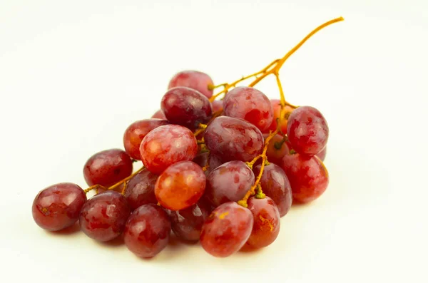 Pink Grapes Vine — Stock Photo, Image