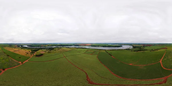 Zuckerrohrplantage Der Nähe Des Flusses Tiete Dorne View lizenzfreie Stockfotos