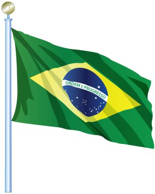 Brezilya Bayrağı