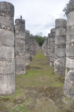 Maya harabelerinde çeşitli sütunlar hizalanmış..