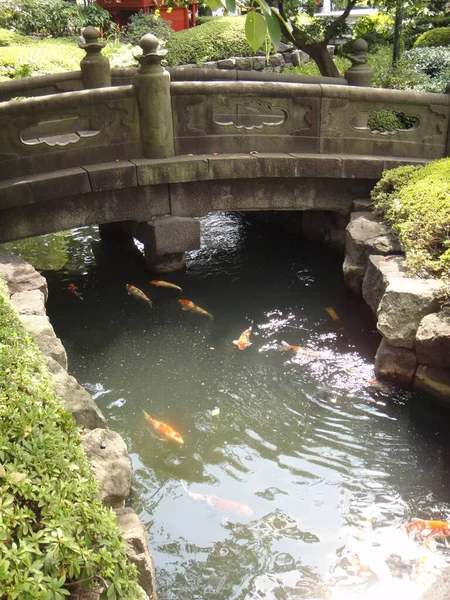 일본의 공원에 연못을 가로지르는 — 스톡 사진