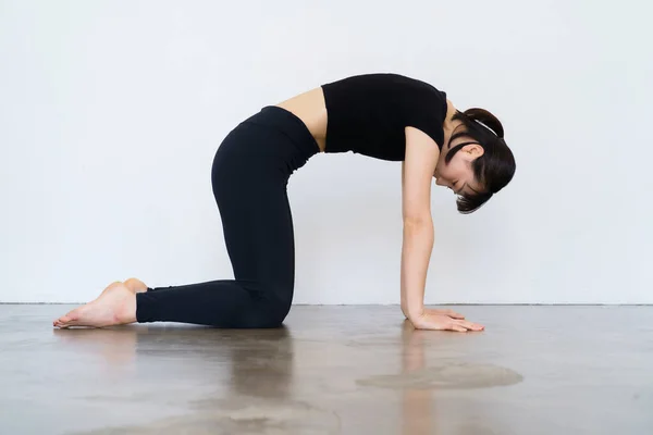 Kvinna Som Gör Yoga Pose Katt Pose — Stockfoto