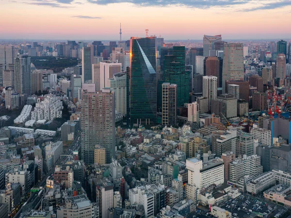日本东京市中心的夜景 — 图库照片