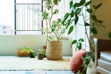 Pencerenin kenarında yeşil bir oda.