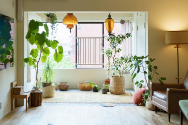 bright room with green on the windowsill