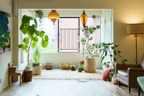 Chambre Lumineuse Avec Vert Sur Rebord Fenêtre — Photo