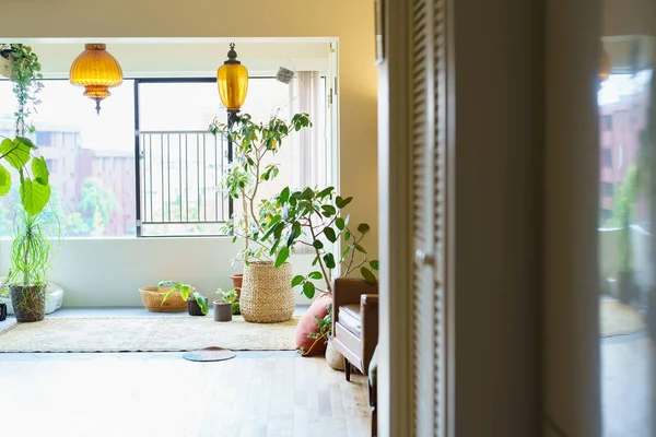 Bright Room Green Windowsill — Stock fotografie