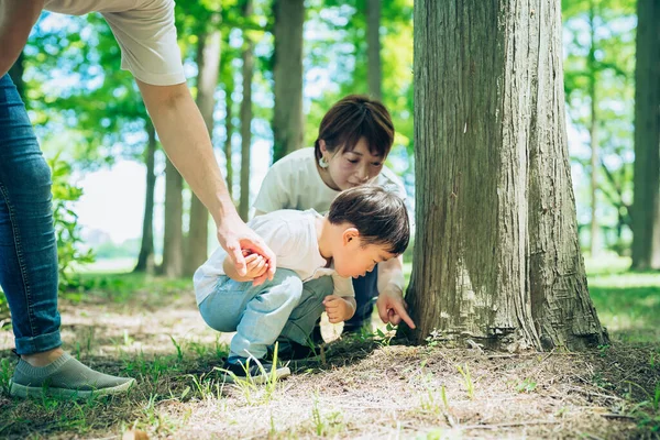 Chlapec Rodiče Prozkoumávají Lesy Pěkného Dne — Stock fotografie