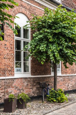 Küresel bir tacı olan ağaç eski bir tuğla binanın önünde.