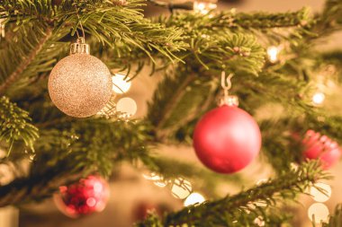 Altın ve kırmızı noel mücevherleri bir Noel ağacında