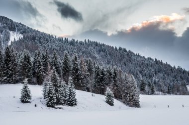Avusturya Alpleri 'ndeki karlı hava bulutlu bir kış öğleden sonrasında