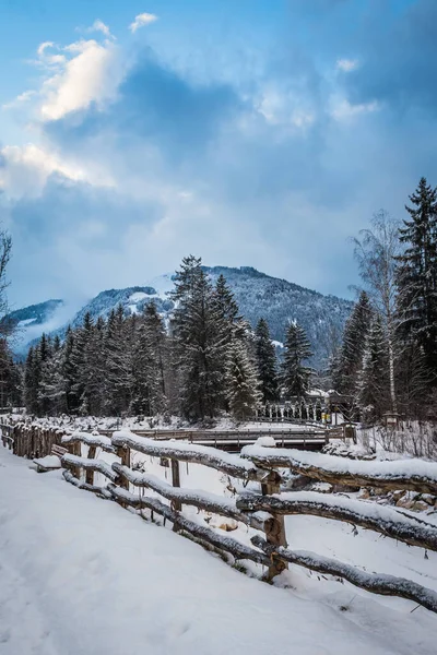 Paesaggio Innevato Nelle Alpi Pomeriggio Inverno Soleggiato Verticale Con Spazio — Foto Stock