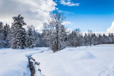 Güneşli bir kış öğleden sonrasında Alman Alplerinde karlı bir manzara. 