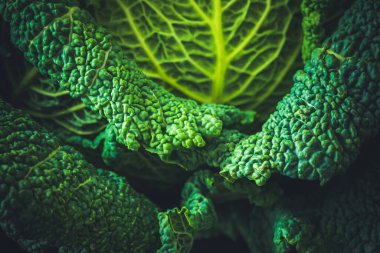 Siyah arka planda Savoy lahanası, yakın plan.