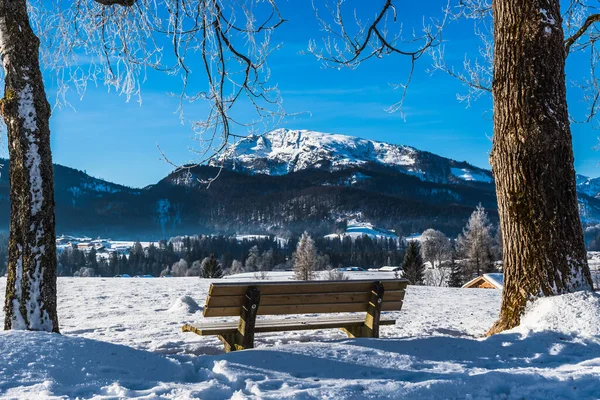 在一个阳光明媚的冬日早晨 在雪地里的长椅上 — 图库照片
