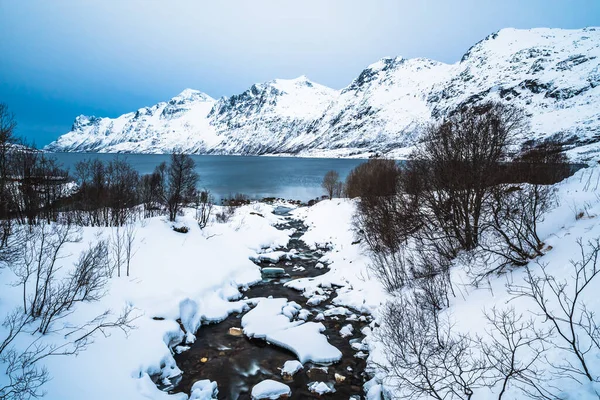 Річка Ерсфіордельва Впадає Ерсфіорд Фіорд Північній Норвегії Недалеко Від Тромса — стокове фото