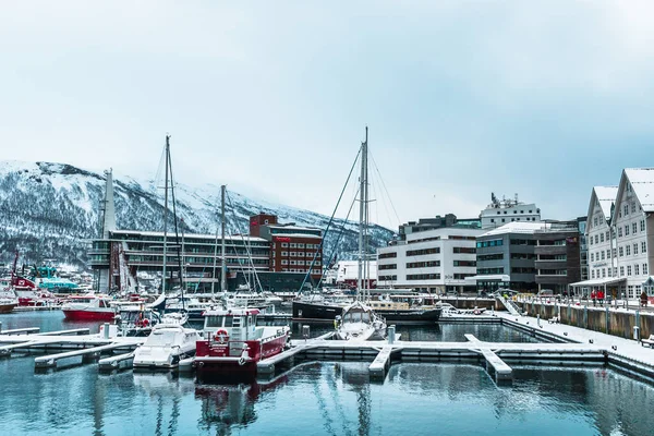 노르웨이의 소항구 2022 보이는 마리나의 전통적 새로운 현대식 — 스톡 사진